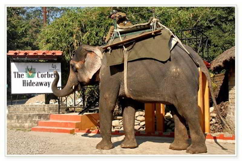Resort Taj Corbett And Uttarakhand 5*